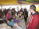 Cliquer pour agrandir